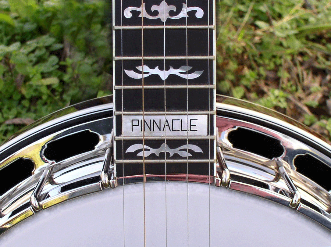 Arkansas Banjo - Pinnacle Block