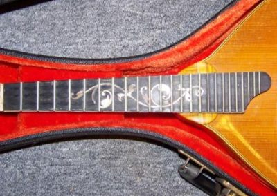 Unicorn Mandolin No. 33