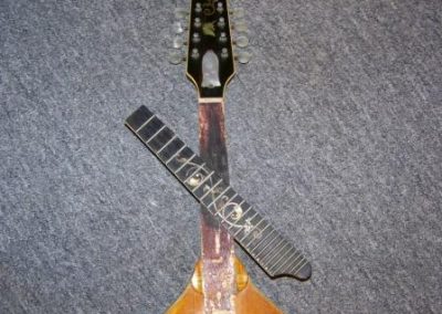 Unicorn Mandolin No. 33