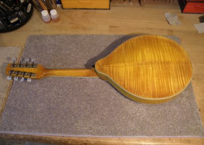 Unicorn Mandolin No. 33