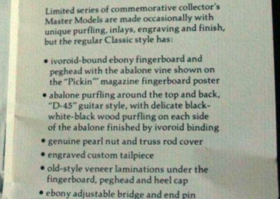 Unicorn Mandolin Brochure