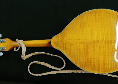 Unicorn Mandolin No. 33