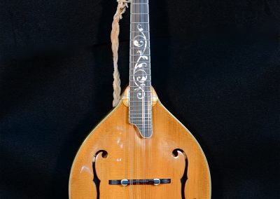 Unicorn Mandolin No. 33