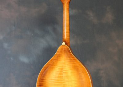 Unicorn Mandolin No. 111 Back Full