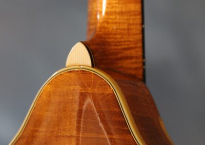 Unicorn Mandolin No. 111 Back Detail