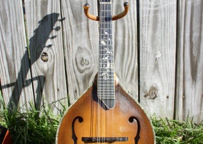 Unicorn Mandolin No. 101 Front