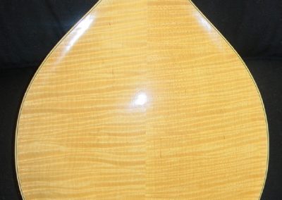 Unicorn Mandolin No. 105 Back Detail