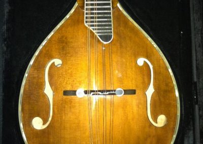 Unicorn Mandolin No. 169 Repair Front