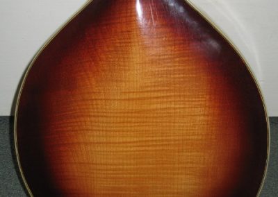 Unicorn Mandolin No. 9