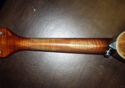 Unicorn Mandolin No. 106