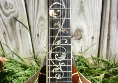 Unicorn Mandolin No. 11