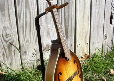 Unicorn Mandolin No. 12