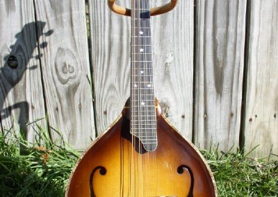 Unicorn Mandolin No. 23