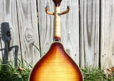 Unicorn Mandolin No. 6