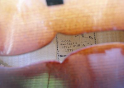 Unicorn Mandolin No. 6