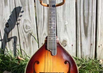 Unicorn Mandolin No. 6