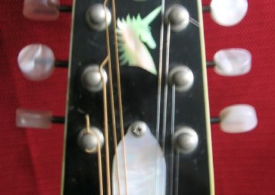 Unicorn Mandolin No. 86