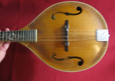 Unicorn Mandolin No. 86