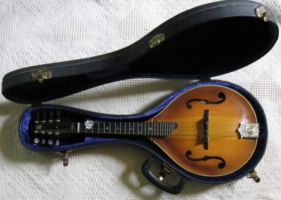 Unicorn Mandolin No. 99 In Case