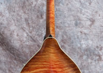 Unicorn Mandolin No. 55