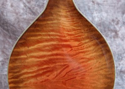Unicorn Mandolin No. 55