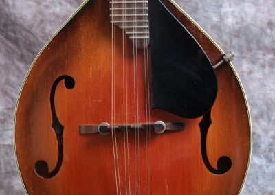Unicorn Mandolin No. 55