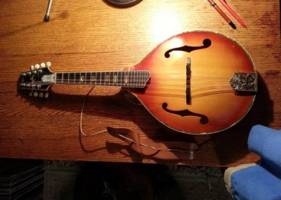 Unicorn Mandolin No. 1