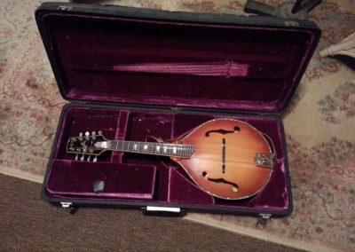 Unicorn Mandolin No. 1