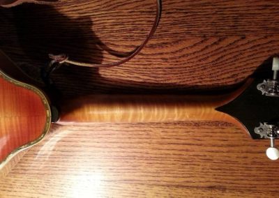 Unicorn Mandolin No. 1