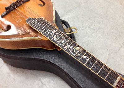 Unknown Unicorn Fingerboard